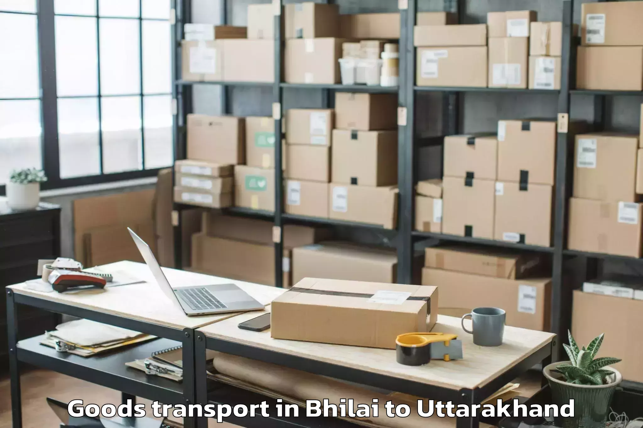 Expert Bhilai to Uttarakhand Goods Transport